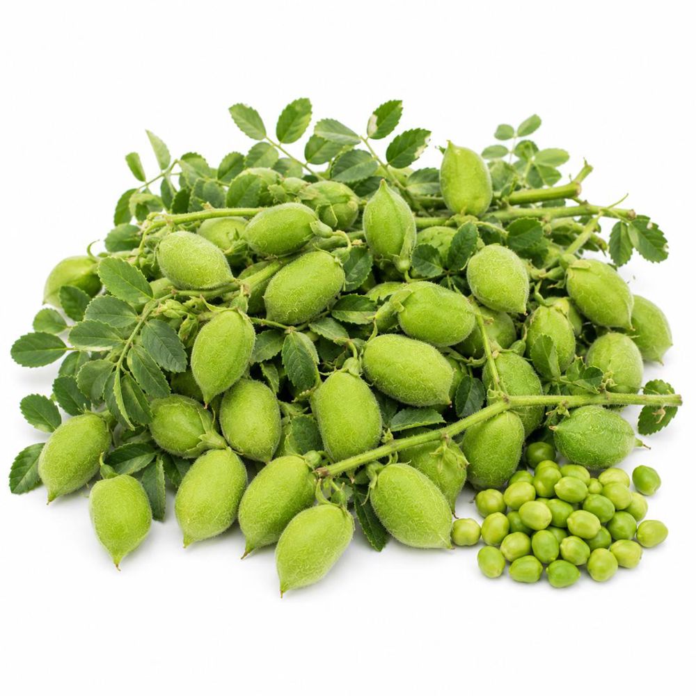 حمص أخضر