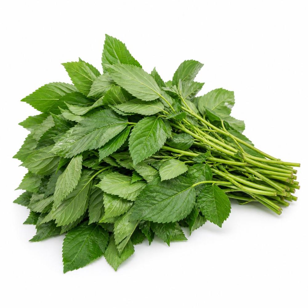 ملوخية